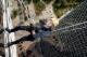 Drop Zone