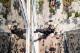 Drop Zone