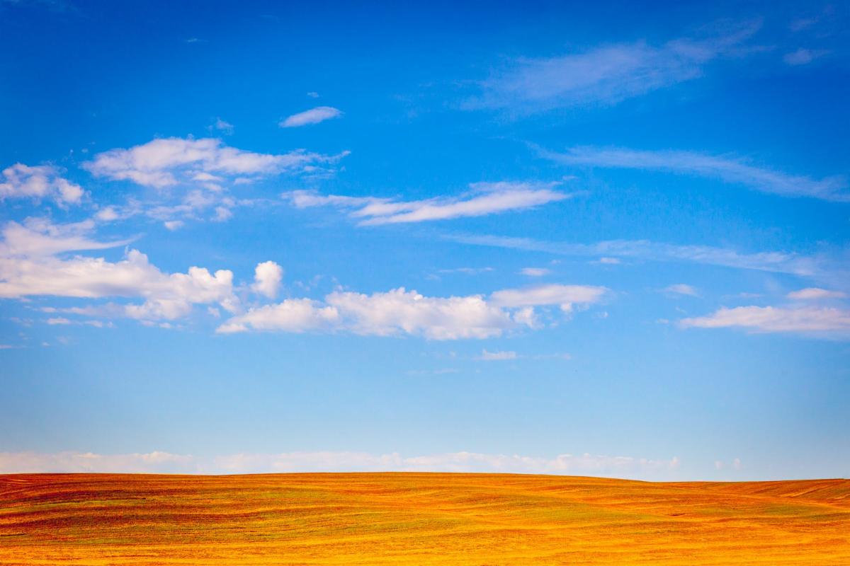 Easy Landscape height=