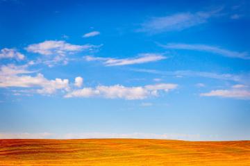 Easy Landscape