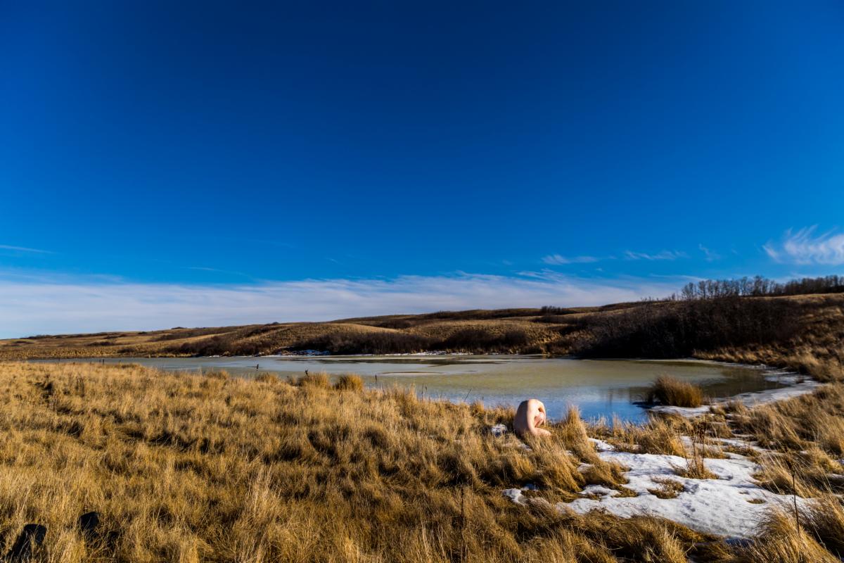 Erratic - Color height=