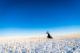 Flutist in the frozen plain II
