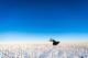 Flutist in the frozen plain II