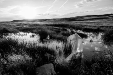 Grey and Creek