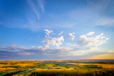 landscape