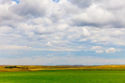 landscape
