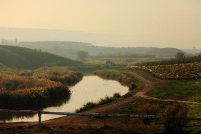 landscape