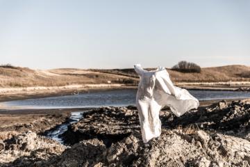 Scupture II