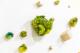 Square Appetites - Aralia Maxwell