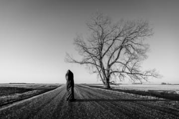 Voile