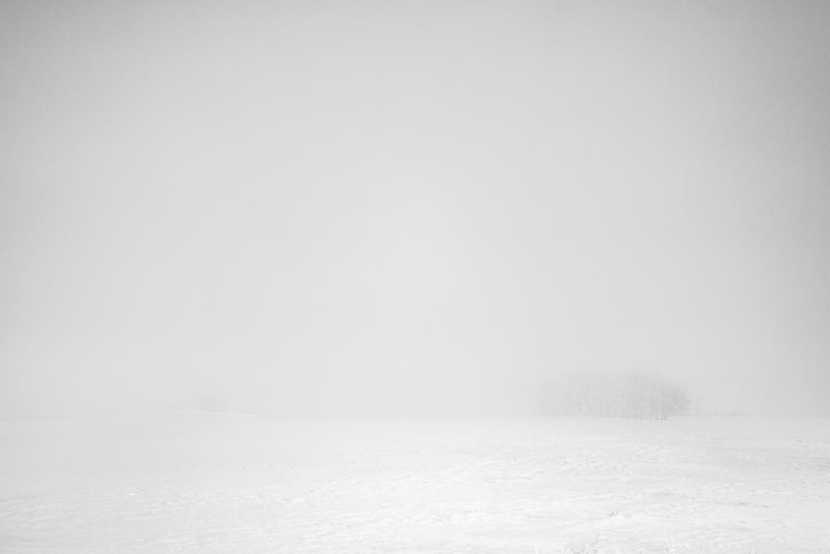 White Southwest height=
