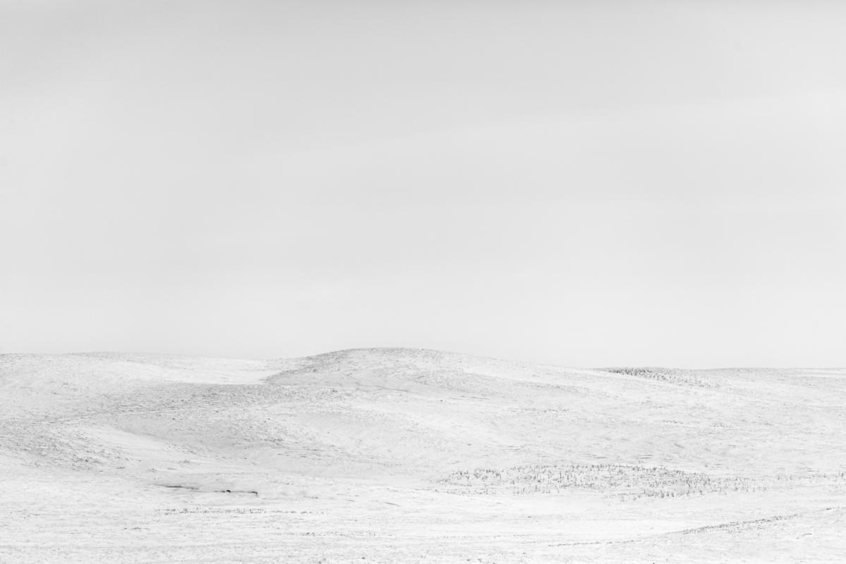 White Southwest height=