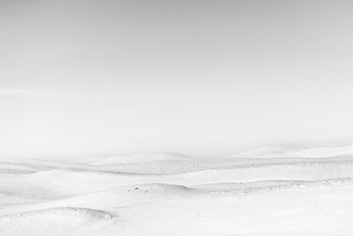 White Southwest height=