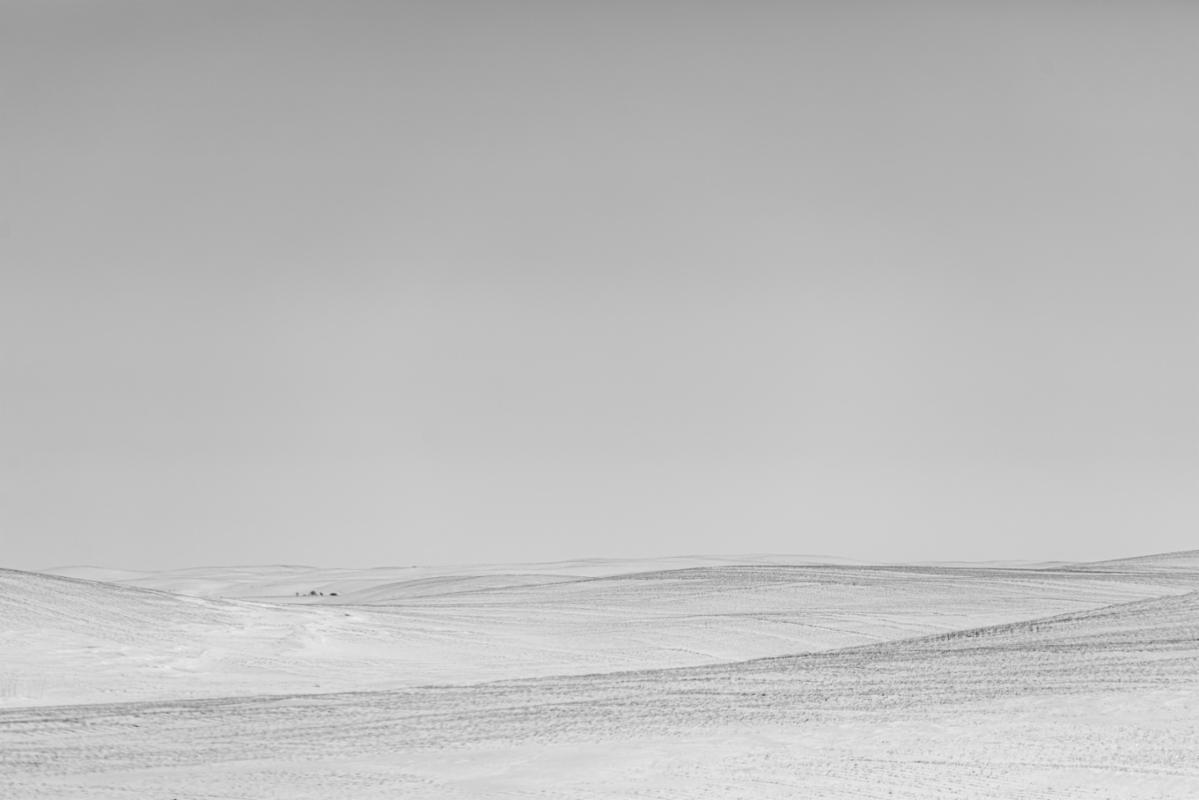 White Southwest height=