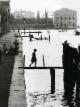 Willy Ronis - 2