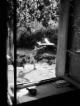 Willy Ronis - 3